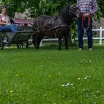 別荘 Maison Familiale Avec Cheminee, Jardin Et Wifi A Esley, Vosges - Fr-1-589-743 *