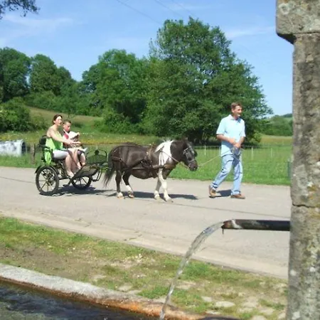 Maison Familiale Avec Cheminee, Jardin Et Wifi A Esley, Vosges - Fr-1-589-743 * Esley