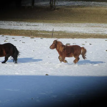 Maison Familiale Avec Cheminee, Jardin Et Wifi A Esley, Vosges - Fr-1-589-743 Esley