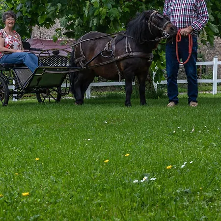 Casa rural Maison Familiale Avec Cheminée, Jardin Et Wifi à Esley, Vosges - Fr-1-589-743 *