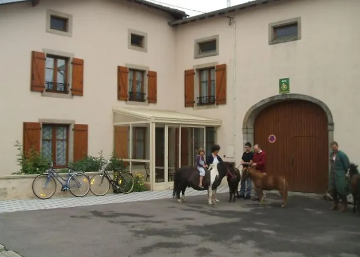 Maison Familiale Avec Cheminee, Jardin Et Wifi A Esley, Vosges - Fr-1-589-743