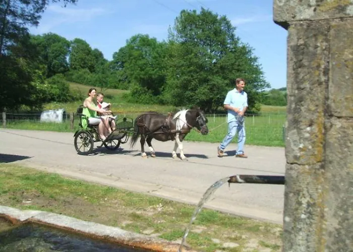 Maison Familiale Avec Cheminee, Jardin Et Wifi A Esley, Vosges - Fr-1-589-743 * Esley