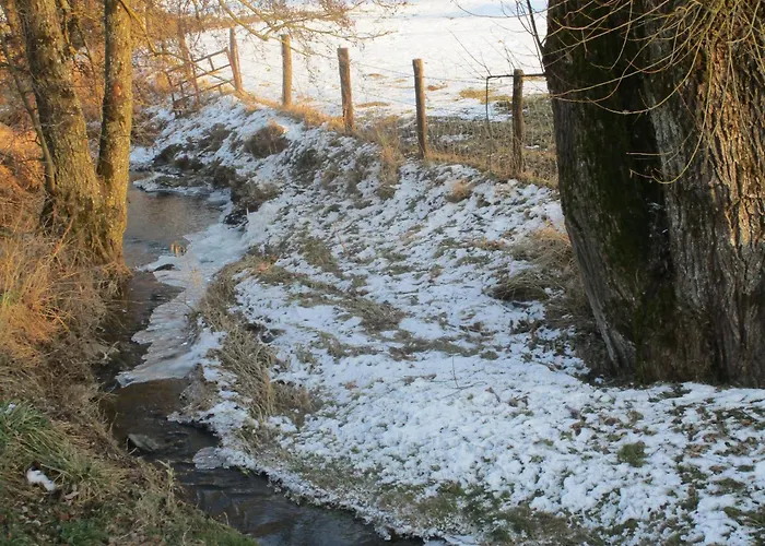 Maison Familiale Avec Cheminee, Jardin Et Wifi A Esley, Vosges - Fr-1-589-743 *