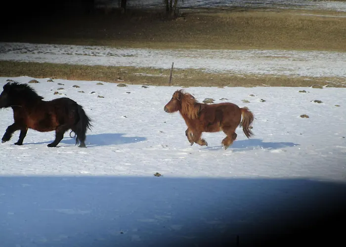 Maison Familiale Avec Cheminee, Jardin Et Wifi A Esley, Vosges - Fr-1-589-743 Esley