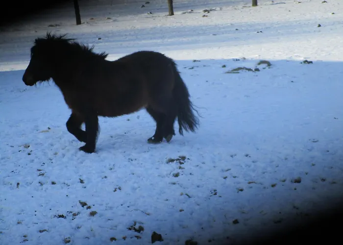 펜션 Maison Familiale Avec Cheminee, Jardin Et Wifi A Esley, Vosges - Fr-1-589-743 *